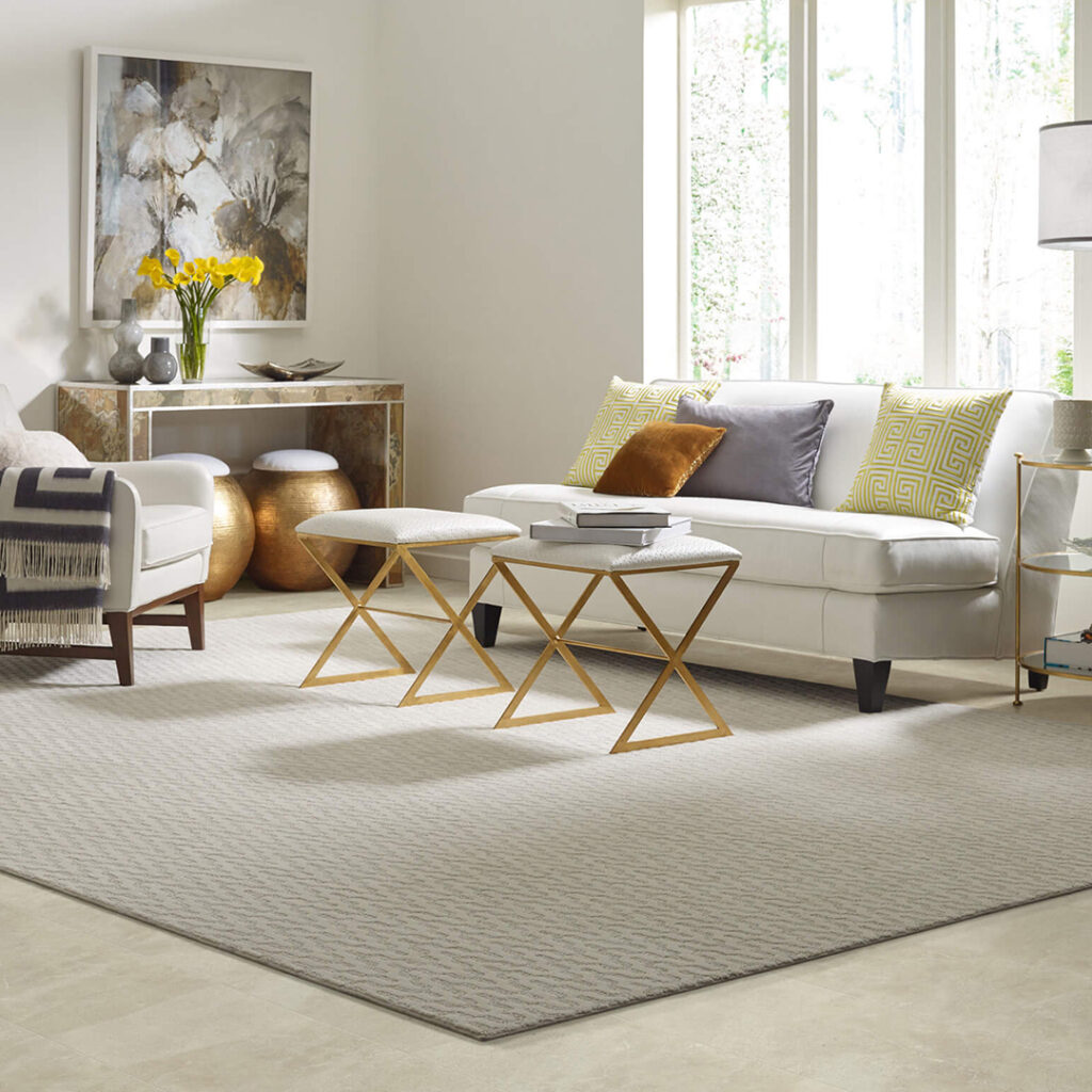 Area Rug | Boyer's Floor Covering