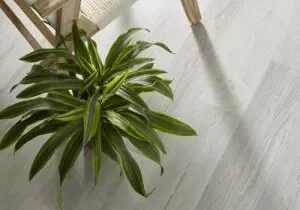 Vinyl Flooring | Boyer's Floor Covering